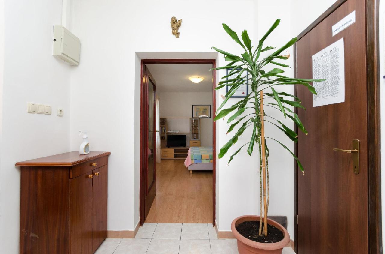 Apartment Goran نوفي فينودولسكي المظهر الخارجي الصورة