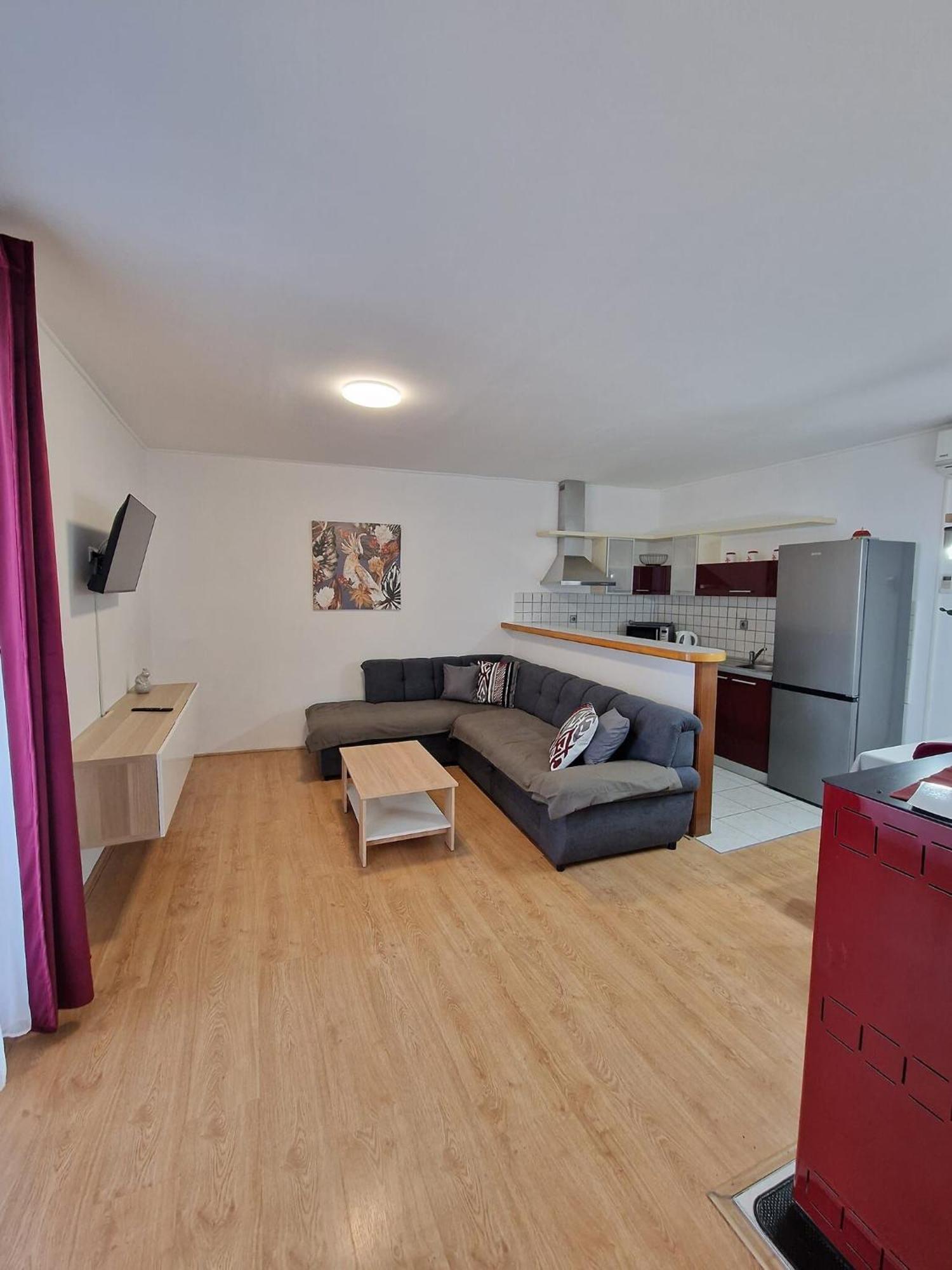 Apartment Goran نوفي فينودولسكي المظهر الخارجي الصورة